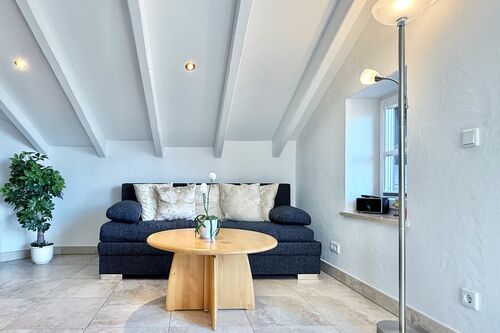 Wohnzimmer mit Schlafcouch und Couchtisch