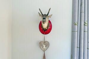 Wohnzimmer Wanddekoration Detail