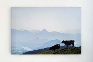 Wohnzimmer Wandbild Detail